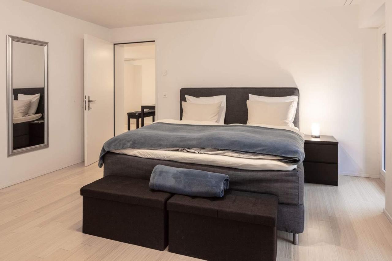 2,5 Zi Design Loft Mit Gartensitzplatz Bazel